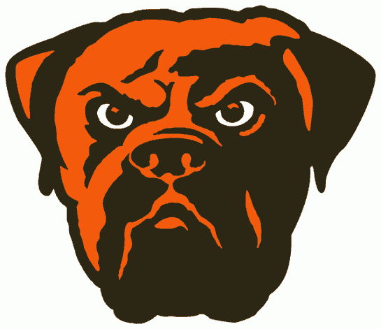 Cleveland Browns 2003-2014 Alternate Logo iron on transfers for clothing
